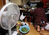 "진짜 비 안 와요?" 소리없이 끝난 장마…길고 긴 사우나 더위 시작