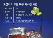 계약금만 8700억 삼성重 '대박'…'모잠비크 FLNG' 사실상 수주