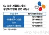 "부당지원" 10년 만에 CJ 때린 공정위…TRS 거래 대기업 '비상'