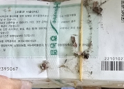 "가정집서 지역화폐 태운다" 수천만원 활활…축협 직원 부모집이었다