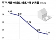 '6.6억→5억' 집값 불길 잡혔다?…"폭등 불씨 남아" 방심 말라는 이유
