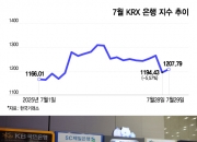 "너무 빨리 올랐다" 상반기 무섭게 오른 은행주, 쉬어갈 타이밍?