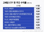 세금 혜택 기대했는데 실망…배당주 ETF '뚝뚝', 그래도 담아라?