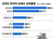 "한국 투자비중 줄여라" 경고에도…외국인 쓸어 담은 '이 종목'