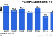 [단독]자산-부채 관리 못한 보험사, 장기보험 판매 못한다