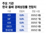 KDI, 올해 성장률 전망치 0.8% 유지…건설 부진이 추경 지웠다