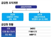 [단독]신설 금소원, 부원장보 3명에 1000명 이내..인력교류 '관건'