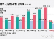 [단독]"최저신용자가 1등급보다 금리 낮다"...카뱅에 나타난 기현상