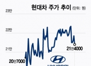 "8만전자 찍는데 우리는" 개미 속 태우는 현대차…증권가 엇갈린 시선