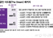 [단독]"소상공인에 10조 공급한다더니"…취지 무색한 '더드림 패키지'