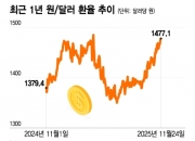 불 붙은 환율… 정부, 진화 나선다