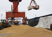 트럼프-시진핑 통화 효과? 美항구서 중국행 대두 선적