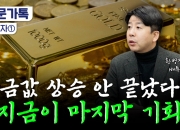 폭등한 금값 '숨 고르기'...전문가가 꼬집은 '마지막 기회' [부꾸미]