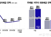 [단독]다시 뛴다? 구두 개입한 날 달러예금에 '뭉칫돈'…당국 실태조사