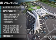 '10.7조' 가덕도 신공항 사업 재시동…대우건설, 23개사와 컨소 응찰