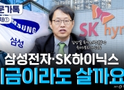 14만전자·75만닉스…반도체 호황 대체 언제까지? [부꾸미]