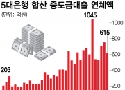 세입자 못 구하고 대출 막혀… 갭투자 붕괴, 지방부터 터졌다
