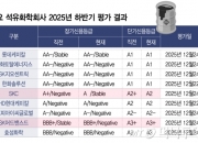 '실적 부진' 석유화학 회사, 신용평가 등급 줄하향 우려