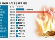 '자사주 소각' 기업 벌써 2배 늘었다..."주가 들썩" 상법개정 수혜주는