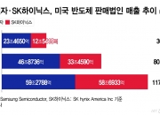 삼성·SK하닉, 미국 반도체 매출 AI 타고 첫 100조 돌파