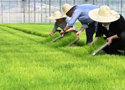 [TheTax]"양도세 0원 아니었어?" 10년 소유 농지, 1억 추징 '날벼락', 왜