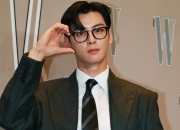 '탈세 논란' 차은우 법인, 강화도 땅 5730평 매입…축구장 3개 규모