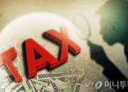 [TheTax] 세금 낮추려 토지 편법 쪼개팔았다가…세금 1억4천만원 더 냈다