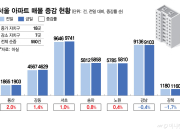 대출보다 더 무서운 세금?…서울 아파트 매물 하루새 550건 쏟아졌다
