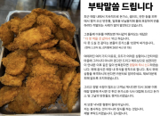'돈가스 무한리필' 8000원 식당의 경고..."김치통에 26장, 이젠 안 참아"