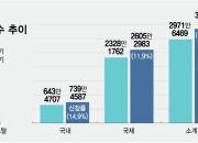 중동전 휴전에 항공업계 '유가 하락' 기대감↑…불확실성은 여전