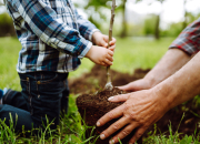 나무 4500그루 기른 '소변 비료'…영국서 나온 재활용 해법