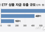 수익률 21%인데 자금 빠져나간다…화장품 ETF, 왜?