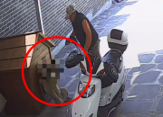 [영상]개장수가 마당에 있던 반려견 끌고 가…연락했더니 "이미 도살"