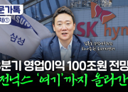 "주가 더 떨어진다" 불안?..."삼전닉스, '이때'가 살 기회" 전문가 조언[부꾸미]