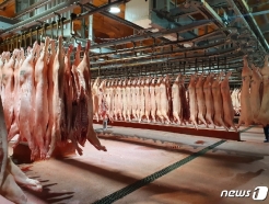 '홍콩에 108톤 수출' 충북 돼지고기 인기 비결은 뭘까