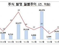 크래프톤 대어급 상장에 '8월 주식 발행' 전월비 10.3%↑