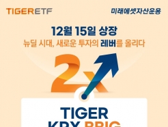 ̷ڻ, <strong>TIGER</strong> ׸ <strong></strong> ETF 2 