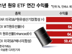  ETF  ͷ 66% ؿ ޸