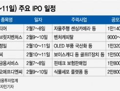    IPO ޸, 俹 5û 4 