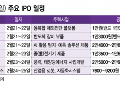 ǻƼ '뼺'...Ĺڵ, IPO  