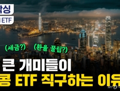   򳪡丷 'ȫETF'  ̵, ?[βٹ]