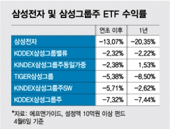  лڰ ?Ｚ 20%   Ｚ׷ ETF 