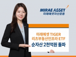 TIGER ε ETF, ڻ 2000 