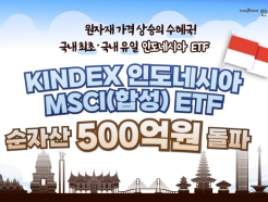 Ź, ε׽þ ETF ڻ 500 