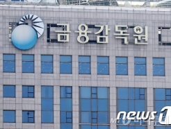 [단독]금감원, 페이코인·밀크·클레이 등 '코인 지급결제' 현장점검 확대