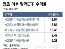 ġڴ /޷ ȯ ޸ ޷ETF̶ Ż?