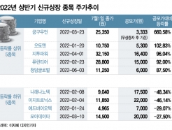 ݱ IPO 30  17 '̳ʽ'̿߿ '޵' ?