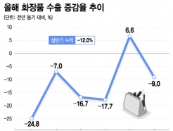 "BTS 립 제품이래" 매출 대박…'탈중국' 나선 韓화장품, 북미로