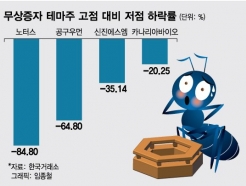 "쩜상 가자" 무증테마주 불나방 투자하더니…'-85%'에 개미 패닉