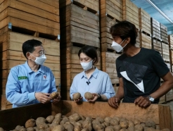 귀농 청년농부가 키운 감자, '수미칩' 된다…<strong>농심</strong>, 130톤 구매